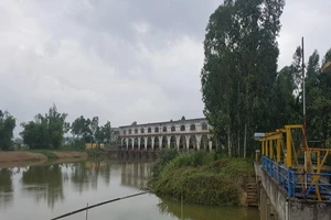 Đà Nẵng 2019: Nắng nóng, hạn hán nhất trong lịch sử quan trắc