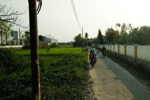 Cò đất tung tin Đà Nẵng thành lập quận mới để thổi giá đất