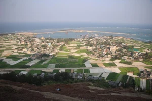 Từ bí thư ‘rớt’ xuống phó bí thư: Người trong cuộc nói gì?