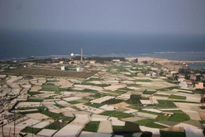 Nguyên nhân bí thư ‘rớt’ xuống phó bí thư xã ở Quảng Ngãi