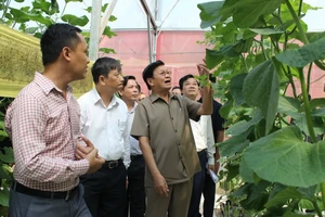 Thủ tướng Lào ấn tượng với mô hình trồng rau sạch tại Đà Nẵng