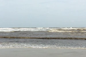 Nước biển ở Quảng Ngãi đổi màu lạ, người dân lo lắng