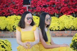 Trẩy hội trên đường hoa tết hơn 6 tỉ đồng ở Đà Nẵng