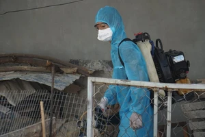 Phun thuốc khử trùng khu vực sinh sống của Bệnh nhân 416 tại Đà Nẵng. Ảnh: BÙI TOÀN