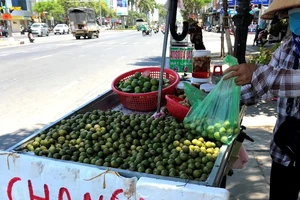Chủ tịch Đà Nẵng: Xử nghiêm hàng rong bán giữa mùa COVID-19