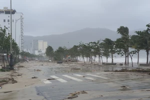 Đà Nẵng: Bờ biển tan hoang, đường phố ngổn ngang sau bão số 9