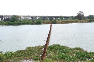 Đề xuất làm đập ngăn mặn kết hợp cầu 410 tỉ đồng