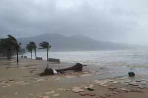 Đà Nẵng lên kế hoạch sơ tán hơn 140.000 dân trước bão số 13