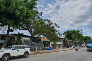 Đà Nẵng bán đấu giá khu đất liên quan đến Tập đoàn Thiên Thanh 