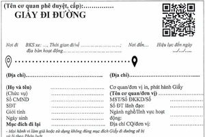 Cách đăng ký mẫu giấy đi đường QRCode mới tại Đà Nẵng