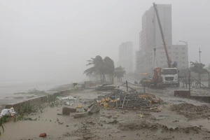 Cây cối ngã đổ, người dân đội mưa to đi mua thực phẩm ở Đà Nẵng