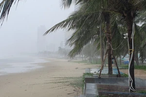 Đà Nẵng họp khẩn ứng phó bão số 6, lên phương án sơ tán dân