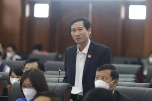 Đại biểu HĐND TP Đà Nẵng: Nên tính toán giảm giá thuê đất cho doanh nghiệp