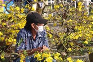 Chợ hoa Tết lớn nhất Đà Nẵng ế ẩm chưa từng thấy