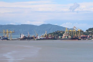 Đang lấy ý kiến về dự án nhận chìm vật chất nạo vét khu vực cảng Sơn Trà, Đà Nẵng 