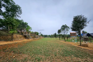 Đà Nẵng chọn 7 mô hình làm du lịch trên đất nông nghiệp