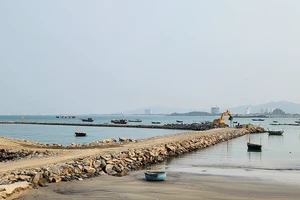 Đà Nẵng giữ lại nhiều diện tích rừng tự nhiên tại Làng Vân và Cảng Liên Chiểu