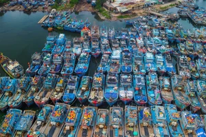 Đoàn thanh tra EC lần 4 về chống khai thác IUU sắp tới Đà Nẵng