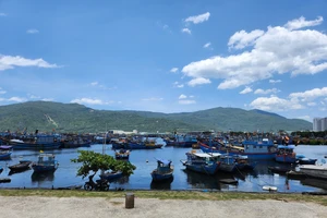 Đà Nẵng siết chặt công tác chống khai thác IUU