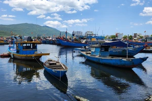 Chủ tịch Đà Nẵng yêu cầu nghiêm túc chống khai thác IUU