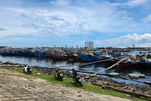 Sản lượng khai thác thủy sản tăng, Đà Nẵng lo thiếu lao động đi biển