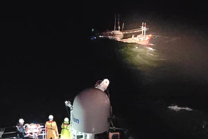 Tàu SAR 412 cứu kịp 14 thuyền viên trên tàu cá đang chìm trên biển