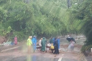 Đà Nẵng: Phong tỏa tuyến đường lên bán đảo Sơn Trà