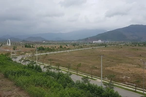 Đà Nẵng chuyển mục đích sử dụng rừng để làm 2 dự án giao thông trọng điểm.