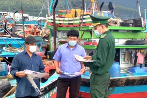 Sắp thông báo án lệ và xử lý hình sự các hành vi khai thác IUU