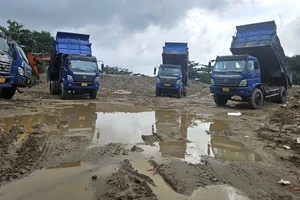 ‘Tối hậu thư’ cho bãi xà bần không phép mọc trên đất công ở Đà Nẵng