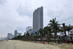 Ngắm bãi biển tại Đà Nẵng xanh mướt với hàng ngàn cây dừa