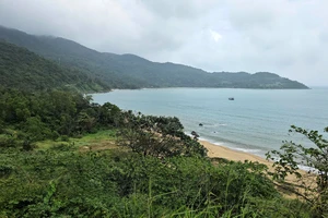 Đà Nẵng nêu hướng xử lý đối với 18 dự án trên bán đảo Sơn Trà