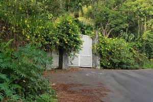 Đà Nẵng xử lý thế nào đối với lô biệt thự L09 trên bán đảo Sơn Trà?