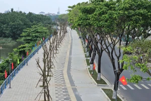 Đà Nẵng khánh thành tuyến cảnh quan ven sông tuyệt đẹp, rợp bóng cây xanh