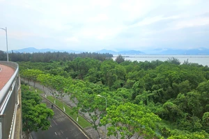 Chủ tịch Đà Nẵng: Sẽ khơi thông nguồn lực tại dự án Đa Phước 181ha