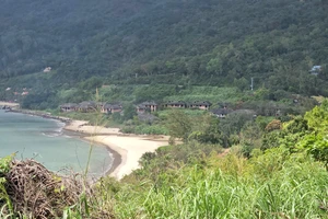 13 dự án trên bán đảo Sơn Trà, Đà Nẵng đang được xử lý đến đâu?