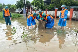 Bão số 10: Đà Nẵng bắt đầu sơ tán dân, lập Ban chỉ huy tiền phương
