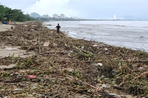 Bờ biển vịnh Đà Nẵng ngập ngụa rác thải sau lũ dữ