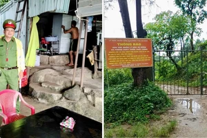 Bão số 13: Đà Nẵng sơ tán 115 người dân, đóng đường lên bán đảo Sơn Trà