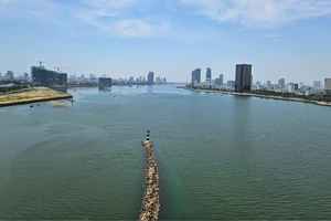 Đà Nẵng lập Ban Chỉ đạo bầu cử đại biểu Quốc hội khóa XVI và đại biểu HĐND các cấp