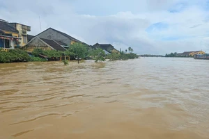 Sắp có lũ lớn trên các sông, Đà Nẵng khẩn trương ứng phó