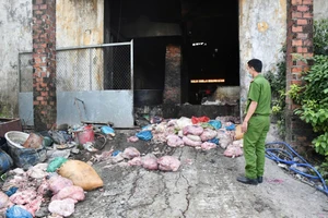 Cơ sở chế biến mỡ động vật quy mô lớn 'núp' trong nghĩa trang 