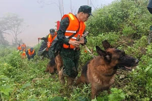 Hàng trăm chiến sĩ cùng chó nghiệp vụ tìm 3 người mất tích trong vụ sạt lở ở Đà Nẵng