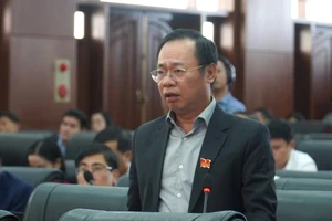 Lo mất nhà đầu tư, đại biểu HĐND Đà Nẵng kiến nghị không tăng giá đất