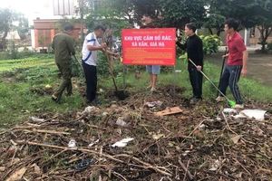 1 phường ở Đà Nẵng dọn gần 300 tấn rác đổ trộm chỉ trong vài ngày