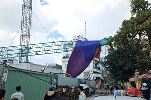 Gãy cần cẩu công trình đè sập tường Bảo tàng điêu khắc Chăm ở Đà Nẵng