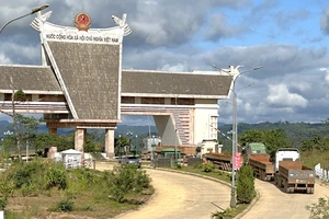 Thanh tra phát hiện nhiều sai phạm tại 1 ban quản lý dự án ở Đà Nẵng