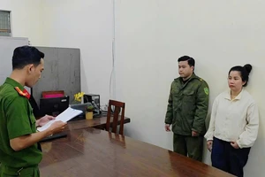 Triệt phá đường dây buôn lậu tôm hùm giống từ Singapore về Việt Nam