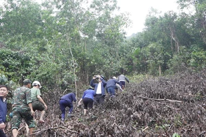 Xã vùng cao xuất hiện vết nứt dài, Đà Nẵng công bố tình huống khẩn cấp