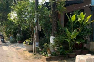 Sở Xây dựng Đà Nẵng điểm tên từng tuyến đường chưa dọn dẹp vỉa hè